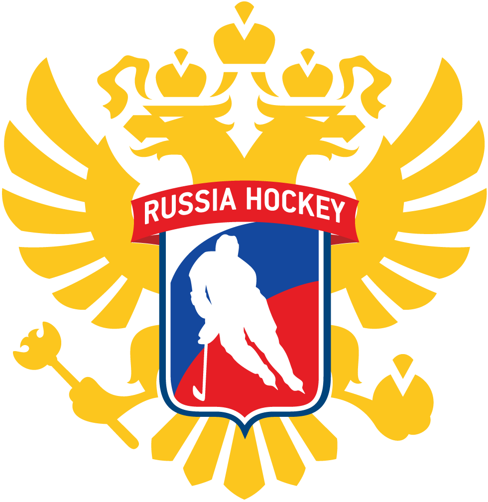Russia 2016-Pres Alternate Logo v4 iron on heat transfer